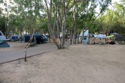 In bester Gesellschaft am Campingplatz