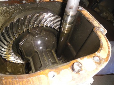 20110504 028.jpg