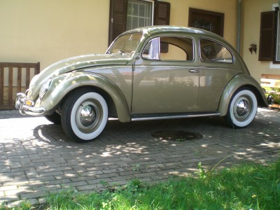 bild 145.jpg