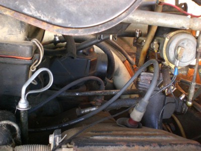 CIMG5220 (Large).JPG