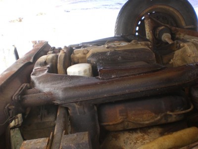 CIMG5227 (Large).JPG
