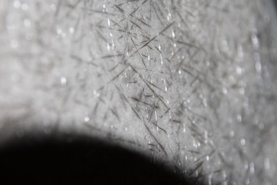 9008.JPG (133.25 KiB) 7854 mal betrachtet Nahaufnahme Glasfaserwunderland