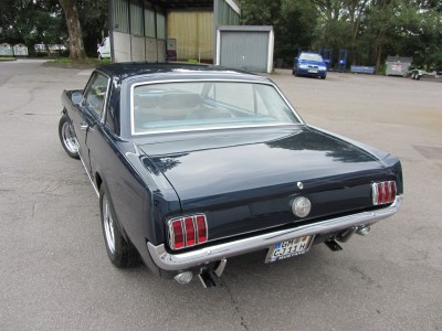 Stang02.jpg