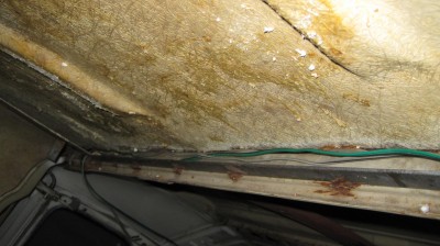 IMG_0688.JPG