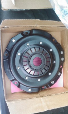 IMAG0204.jpg