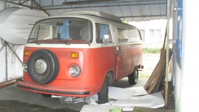 SL377695.JPG