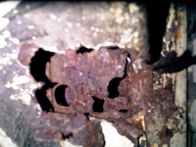 IMG00060-20101101-1522.jpg