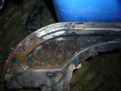 Osterhasen auf dem Motorblech