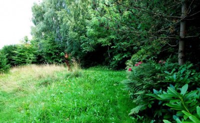 Garten.jpg