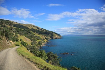 Coromandel im Norden