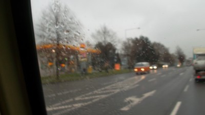 wilk31032012 007.JPG