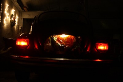 IMG_3795.JPG