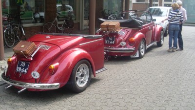 SL378159.JPG