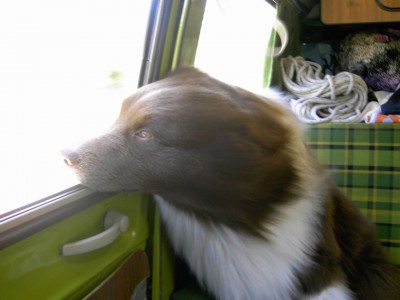 PICT0258.jpg