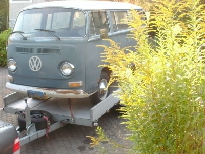 Clipper_holen_10.08.2012 005.jpg