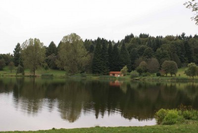 IG T2 Jahrestreffen 12 (13).jpg