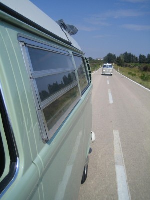IMG_8834.JPG