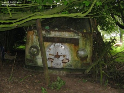 T2a.jpg