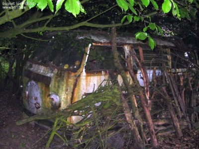T2a,a.jpg