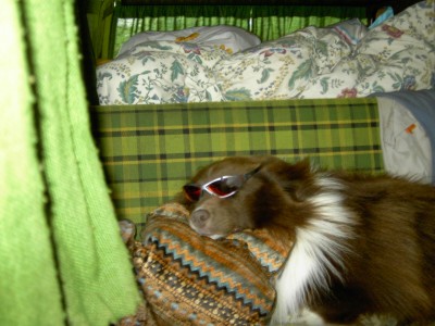 PICT0716.JPG