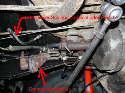 Frage Nr. 5