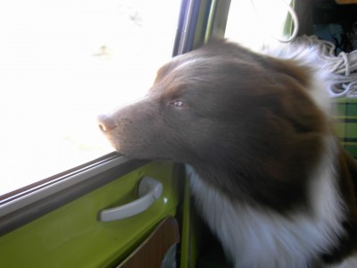 PICT0259.JPG