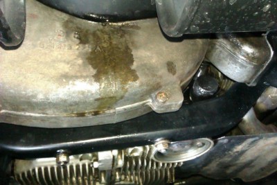 IMAG0297.jpg