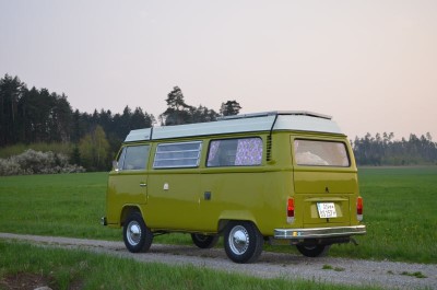 DSC_0032v.jpg