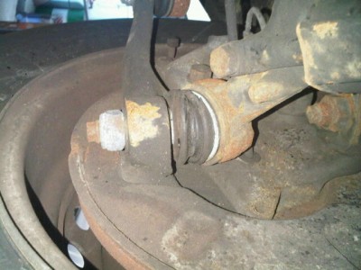 IMG01569-20130504-1337.jpg
