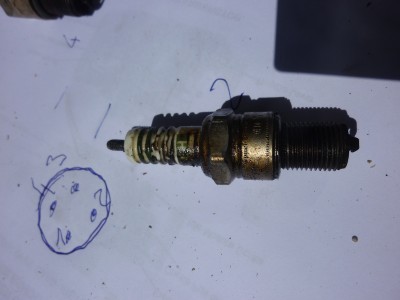 P1020124.jpg