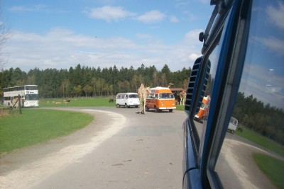 Serengetipark Hodenhagen