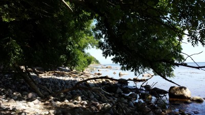 20130706_134114.jpg