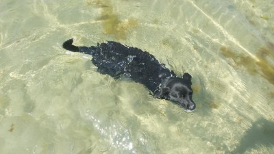 20130707_130656.jpg