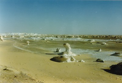 weißeWüste.jpg