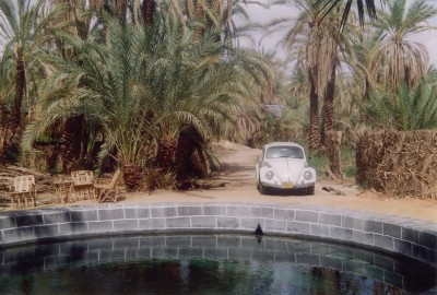 Siwa-Quelle.jpg