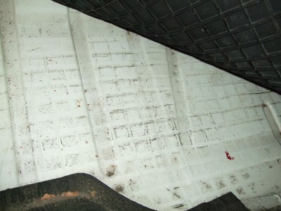 DSCF0446.JPG