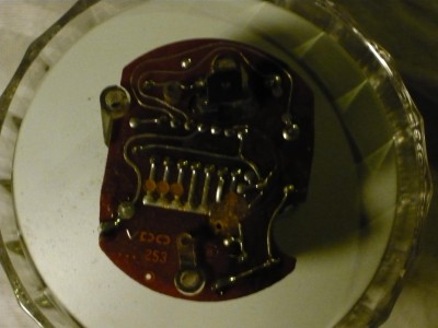 P1000826.JPG