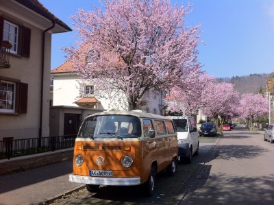 Foto 4.JPG