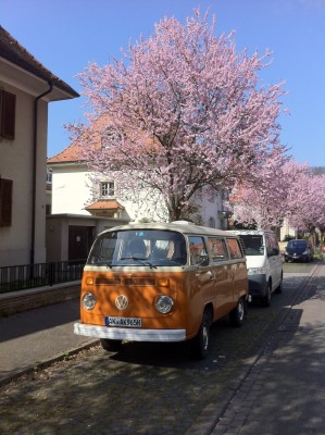 Foto 2.JPG