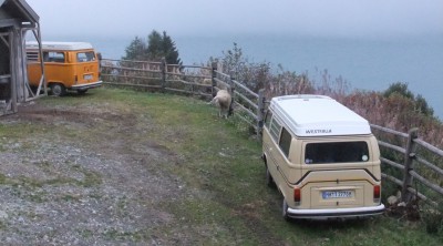DSCF4154.JPG