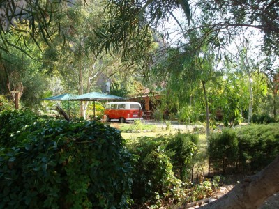 Türkei 2008 (Olympos)