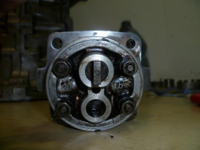 P1050006.JPG
