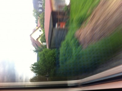 Foto-2.JPG