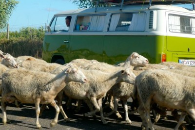 fast wie in Neuseeland....