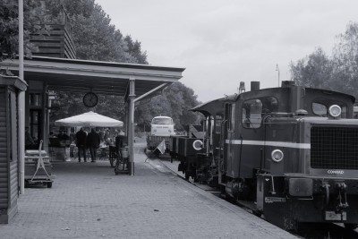 SDIM1313.jpg