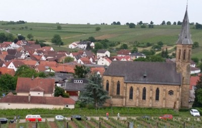 Herrlicher Blick über die Südpfalz