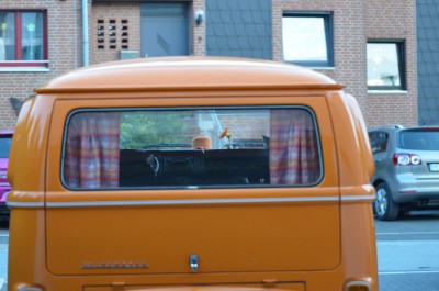 Gardienen