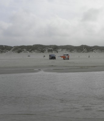 am Autostrand, mit Kumpel Grünschnabel