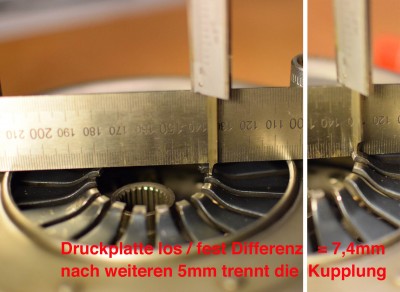 Federzungen-Wegstrecke.jpg