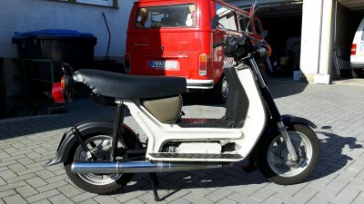 Simson (1).jpg